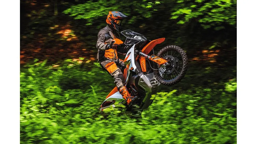 KTM 890 Adventure R - Görsel 3